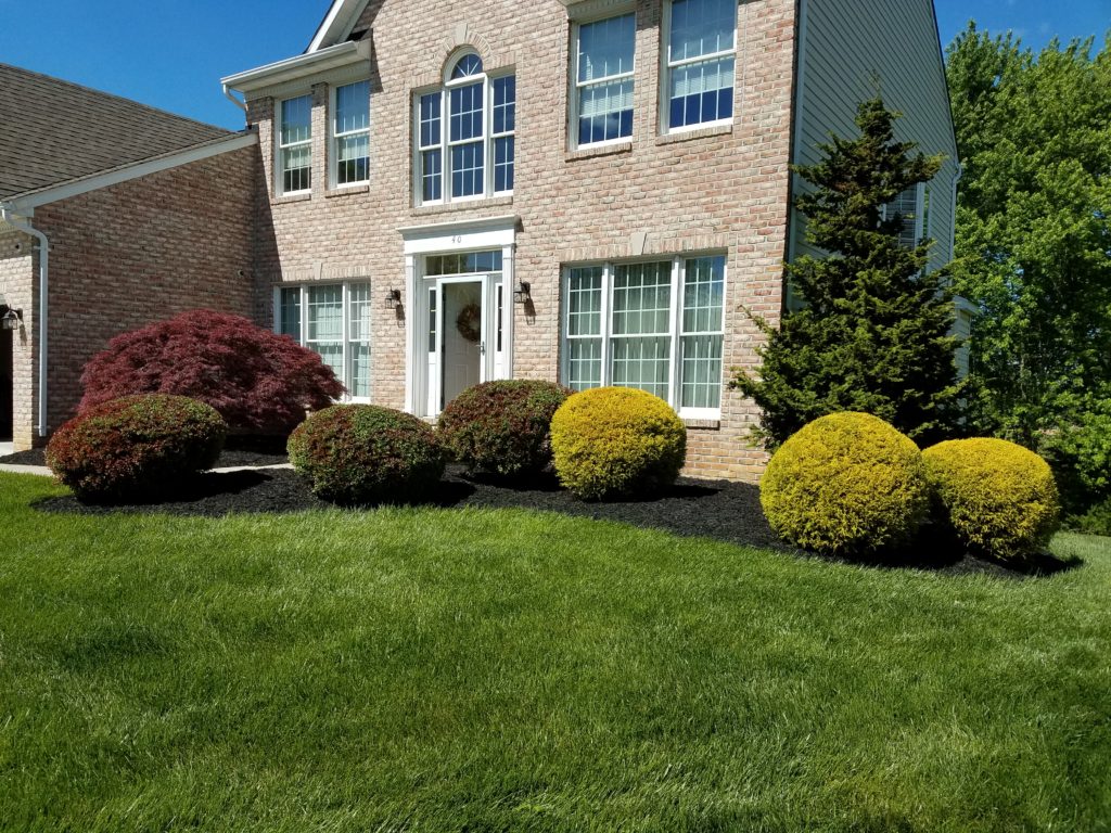 Landscaping in bel air, md