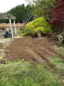 Decoritive pond removal