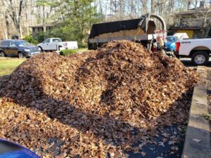 fall leaf and yard clean up