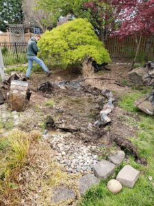 Decoritive Pond Removal